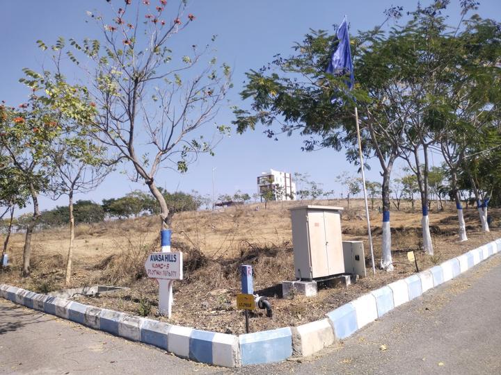 YBR Avasa Pride  Main Image 1