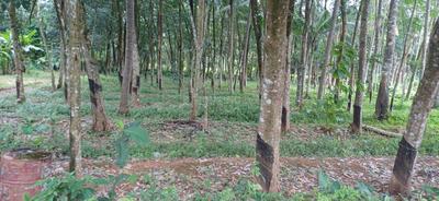 Image of 48 Sq.ft Residential Plot / Land for sale in Malayinkeezh, Thiruvananthapuram for Rs. 350000