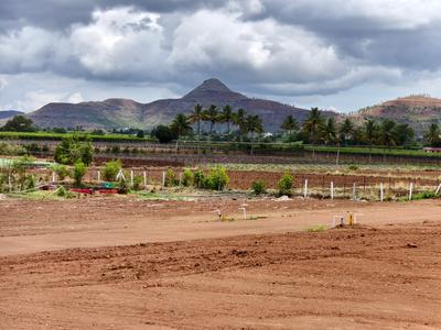 Vrundavan Greens Farm House Project Plot View 3