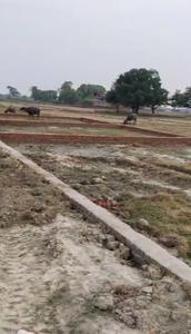 Bachchhao Plot View 2