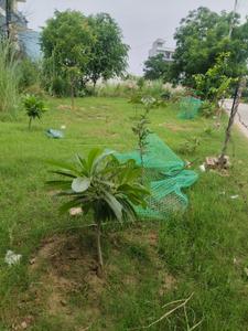 Image of 194 Sq.ft Residential Plot / Land for sale in Omaxe Galleria, Sector 14, Bahadurgarh for Rs. 20400000