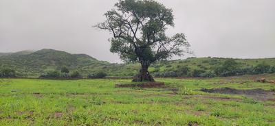 Image of 22560 Sq.ft Residential Plot / Land for sale in Trimbak, Nashik for Rs. 3100000
