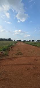 Image of 184 Sq.ft Residential Plot / Land for sale in Sampangi The Green Ridge, Alair, Yadadri Bhuvanagiri for Rs. 1800040