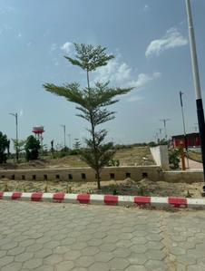 Image of 900 Sq.ft Residential Plot / Land for sale in Luniyawas, Jaipur for Rs. 1000000
