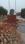 Dadri Plot View 2