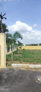 Image of 739 Sq.ft Residential Plot / Land for sale in Thiruvallur, Chennai for Rs. 1182400