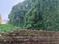 Aryapalli, Patia Plot View 2