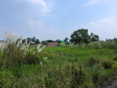 Wander Valley Plot View 2