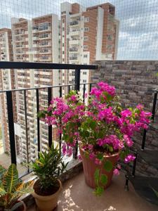 Balcony Image of 1070 Sq.ft 2 BHK Apartment / Flat for sale in Myhna Maple, Varthur Bengaluru for Rs. 14000000