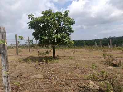Image of 1210 Sq.ft Residential Plot / Land for sale in Lohegaon, Pune for Rs. 3612000