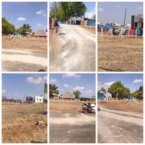 Image of 1200 Sq.ft Residential Plot / Land for sale in Tirumangalam, Madurai for Rs. 250000