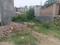 Neelendras Amity Green Main Image 1