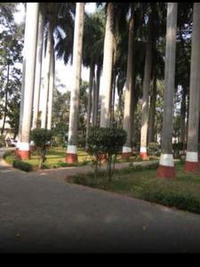 Image of jay pg in Pimpri, Pune