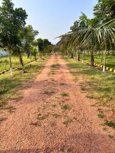 Image of 111 Sq.ft Residential Plot / Land for sale in Kothavalasa, Visakhapatnam for Rs. 666000