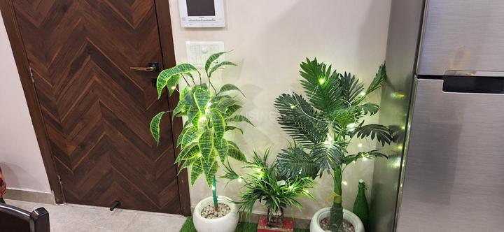 Meenakshi Garden, Ashok Nagar Main Image 1