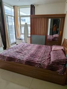 Bedroom Image of 800 Sq.ft 2 BHK Apartment / Flat for rent in Rohan Mithila, Viman Nagar Pune for Rs. 50000