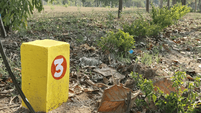 Image of 435 Sq.ft Residential Plot / Land for sale in Gandhipuram, Coimbatore for Rs. 750000