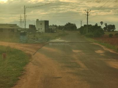 Ellappalayam Plot View 3