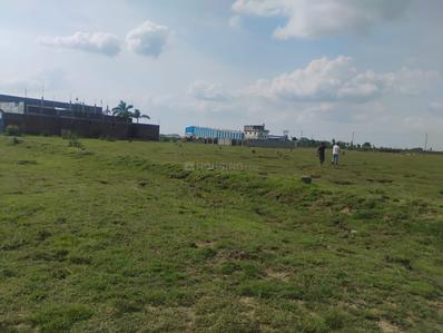 Image of 1800 Sq.ft Residential Plot / Land for sale in Bodh Gaya, Gaya for Rs. 2600000