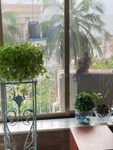Balcony Image of 3000 Sq.ft 4 BHK Apartment / Flat for sale in Sea Hill Apartments, Khar West Mumbai for Rs. 84500000