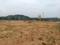 Ibrahimpatnam Plot View 2