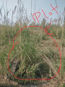 Image of 3000 Sq.ft Residential Plot / Land for sale in Suman Nagar, Haridwar for Rs. 1900000
