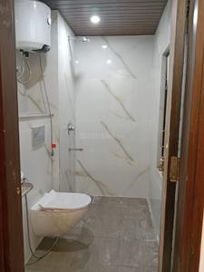 Bathroom Image of Olive Pg  in Sector 142, Noida