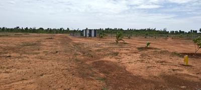 Image of 11104 Sq.ft Residential Plot / Land for sale in Sooriyur, Tiruchirappalli for Rs. 1765377