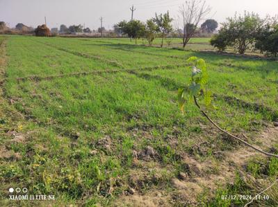 Image of 15525 Sq.ft Residential Plot / Land for sale in Kursauli, Kanpur for Rs. 3800000