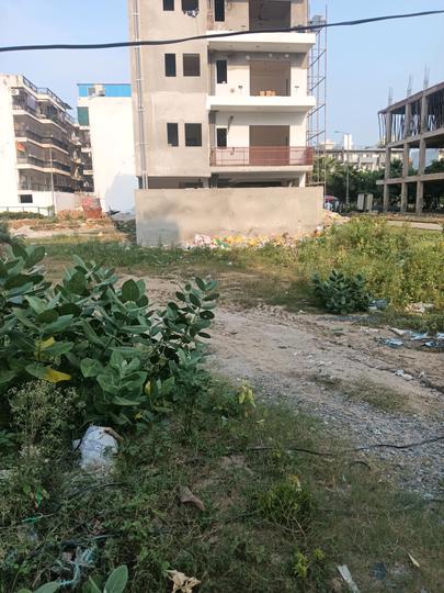 Central Park Flower Valley Main Image 1