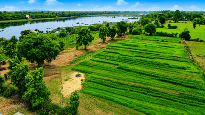 Image of 10800 Sq.ft Residential Plot / Land for sale in Toria Mohalla, Chhatarpur for Rs. 7500000