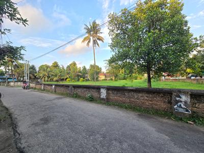 Kunnathery Thikavu Plot View 3