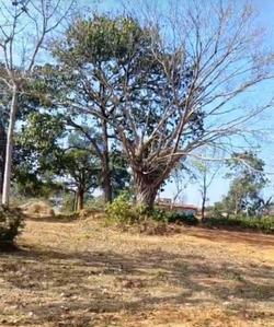 Image of 2200 Sq.ft Residential Plot / Land for sale in Nagri, Ranchi for Rs. 2200000