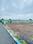 Shikrapur Main Image 1