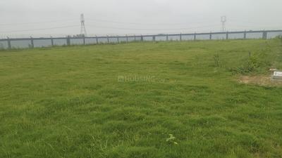 Image of 1323 Sq.ft Residential Plot / Land for sale in SDJS Royal City, Badsa, Jhajjar for Rs. 9555000
