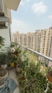 Balcony Image of 2275 Sq.ft 4.5 BHK Apartment / Flat for sale in Exotica Fresco, Sector 137 Noida for Rs. 40000000