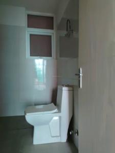 Common Bathroom Image of 2400 Sq.ft 4.5 BHK Apartment / Flat for sale in Tulip Ivory, Sector 70 Gurgaon for Rs. 31000000