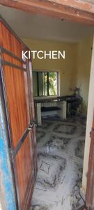 Kitchen Image of 1292 Sq.ft 1 BHK Apartment / Flat for rent in Bhartiya Nagar Bilaspur for Rs. 5500