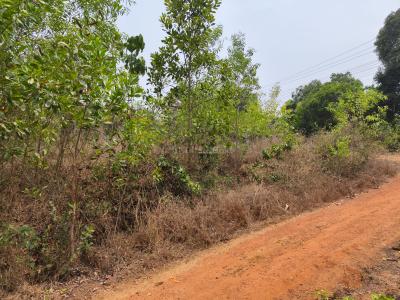 Image of 27878 Sq.ft Residential Plot / Land for sale in Moodbidri, Mangalore for Rs. 12800000