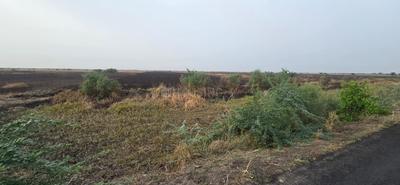 Dholera Plot View 2