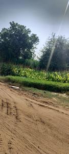 Image of 1170 Sq.ft Residential Plot / Land for sale in Signature Global City of Colours NH 8, Sidhrawali, Gurgaon for Rs. 13000000
