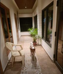 Balcony Image of 1200 Sq.ft 2 BHK Independent House for rent in Bamunimaidam Guwahati for Rs. 19000
