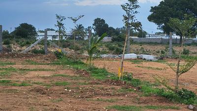 Image of 242 Sq.ft Residential Plot / Land for sale in Shabad, Hyderabad for Rs. 3146000
