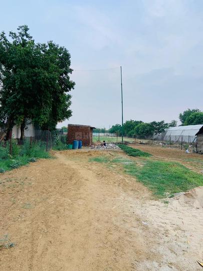 Ground  More Images 1