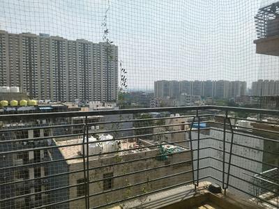 Living Room Image of 1326 Sq.ft 3 BHK Apartment / Flat for sale in Tulip White, Sector 69 Gurgaon for Rs. 14600000