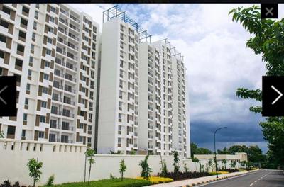 Image of 814 Sq.ft 2 BHK Apartment / Flat for sale in Dasanapura, Bengaluru for Rs. 5800000