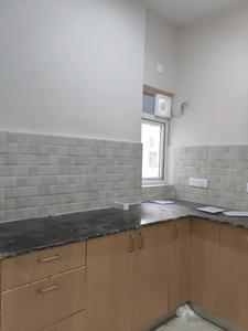Kitchen Image of 750 Sq.ft 2.5 BHK Apartment / Flat for rent in Amrapali Dream Valley 2, Noida Extension Greater Noida for Rs. 19000