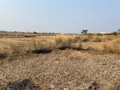 Image of 1089 Sq.ft Residential Plot / Land for sale in Hamarapur, Raigad for Rs. 355555