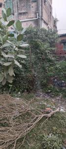Image of 1500 Sq.ft 2.5 BHK Independent House for sale in Anjir Bagan, Bardhaman for Rs. 3500000