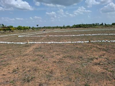 Image of 800 Sq.ft Residential Plot / Land for sale in Kilpakkam- Arakkonam, Ranipet for Rs. 324000